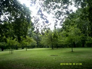 DSCF0394.JPG