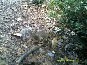DSCF0399.JPG