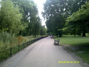 DSCF0401.JPG