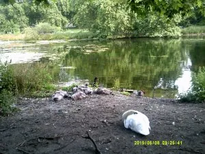 DSCF0403.JPG