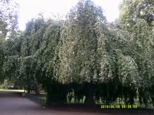 DSCF0407.JPG