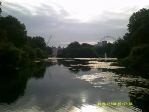 DSCF0409.JPG
