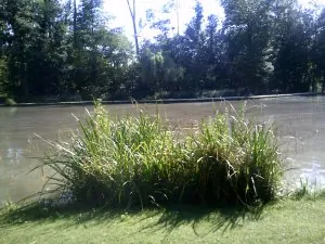 DSCF0599.JPG
