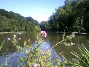 DSCF0605.JPG