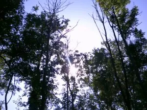 DSCF0530.JPG