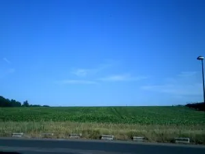 DSCF0621.JPG
