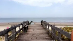 7E1CA4D0-42F6-42EA-A692-59AEEAE03FAD.jpeg