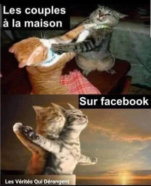 Screenshot_20190726-231603_Facebook.jpg