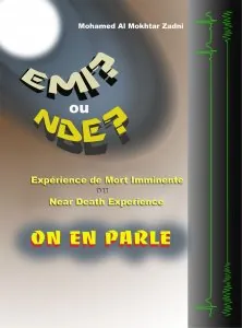 NDE-on en parleWeb.jpg