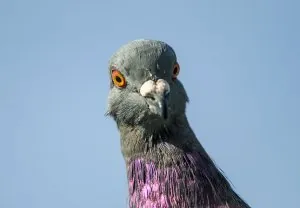 214234