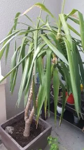 20190809_184758.jpg