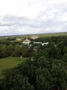 20190815_161952.jpg