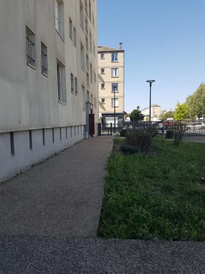 20190825_124156.jpg