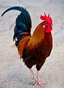 215171