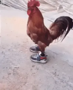 215173