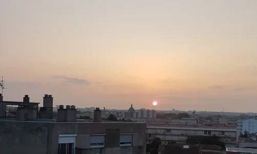 20190828_072650.jpg