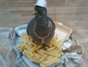 58.jpg