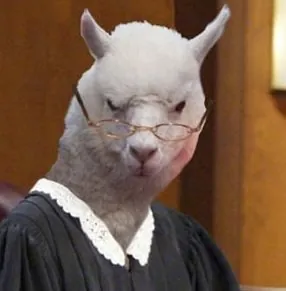 216120