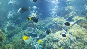 thumbnail_IMG_20190914_135307.jpg