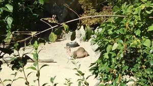 thumbnail_IMG_20190914_142139.jpg