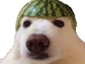 216495