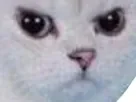 216506