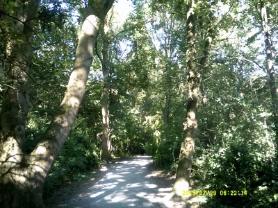 DSCF0741.JPG