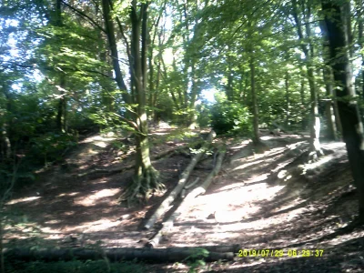 DSCF0745.JPG