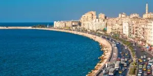 1561698219-alexandria-news_item_slider.jpg