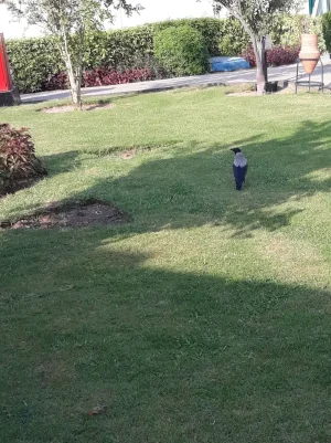 20190927_155816.jpg