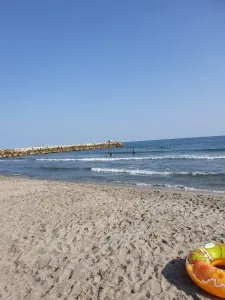 20190723_175022.jpg