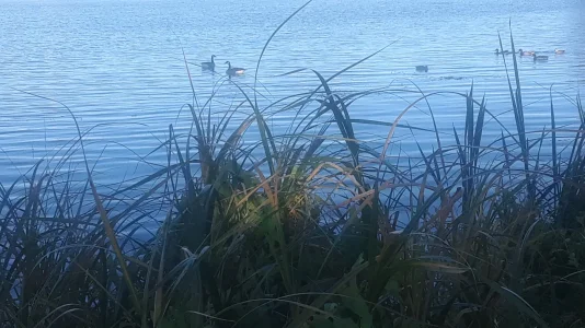 20190929_083206.jpg