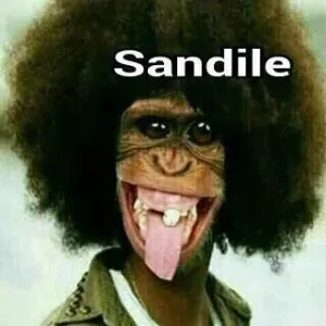 sandile.jpg
