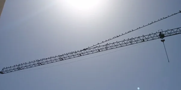 217046