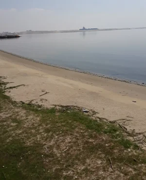 20191002_105514.jpg