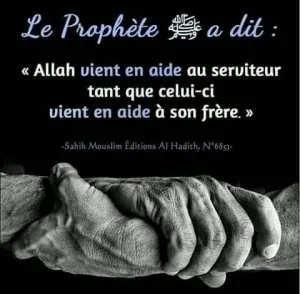 aider.jpg