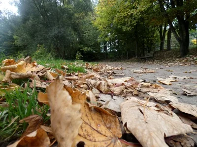 P1060734.jpg