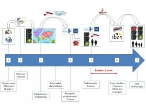 Ligne_du_temps_procedure (1).jpg