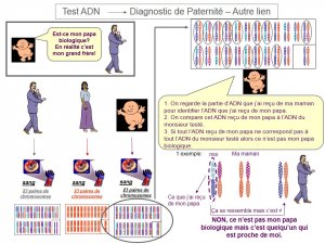 Test ADN - Diagnostic de Paternité 5.jpg