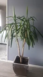 20191020_141324.jpg