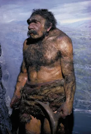 Neanderthal.jpg