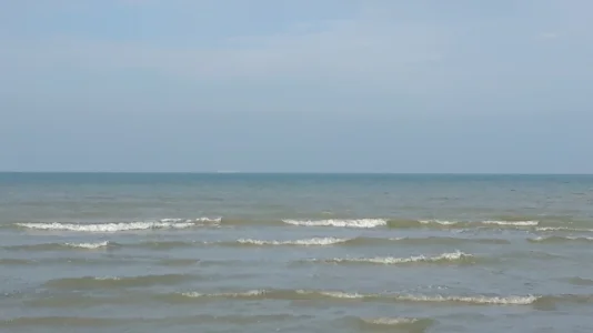 20191023_130049.jpg