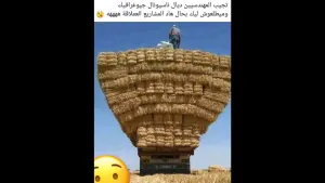 Screenshot_20191025-173747.png