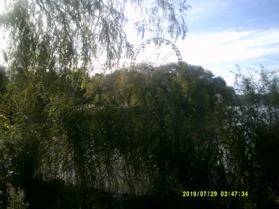DSCF0034 (1).JPG