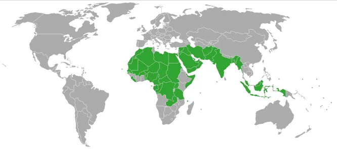 carte-du-monde-polygamie.png
