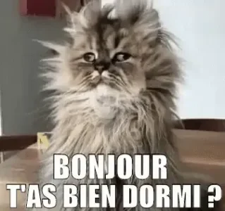 tenor (3).gif