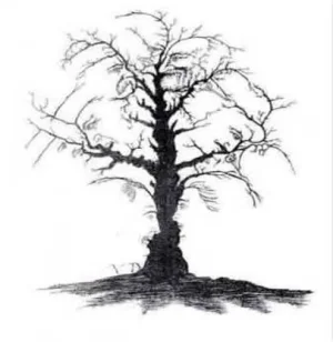 arbre.jpg