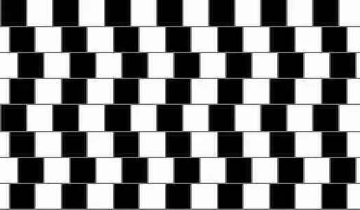illusions2.jpg