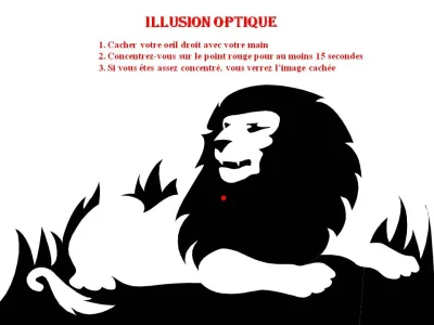 illusion-optique.jpg