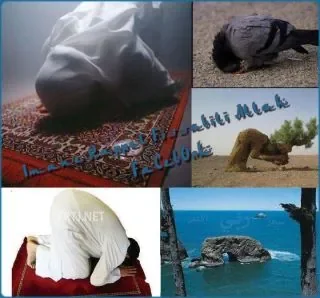 AMAZIGH ISLAM  AIT S.jpg